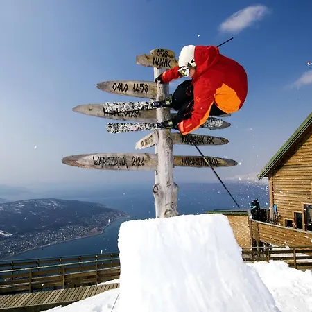 Budget * 纳尔维克